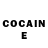 Cocaine Fish Scale Kateryna Holovko