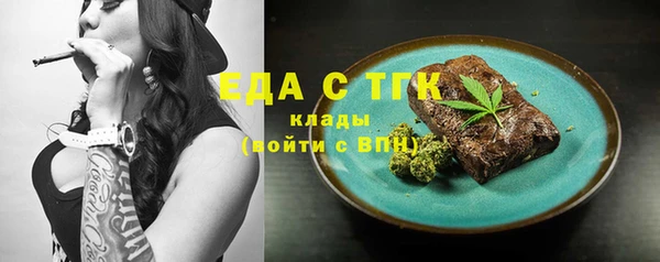 индика Аркадак