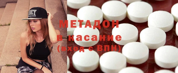 индика Аркадак