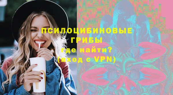 индика Аркадак