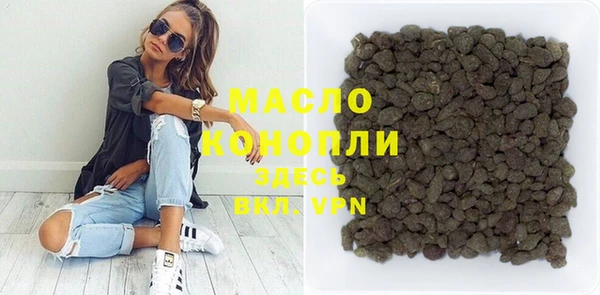 индика Аркадак