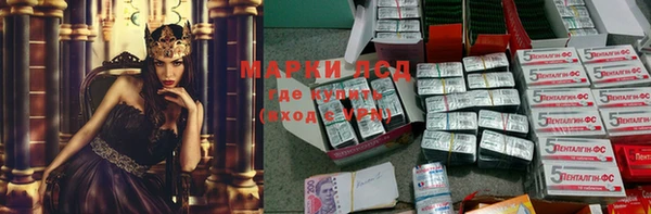 индика Аркадак
