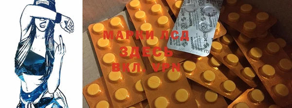 индика Аркадак